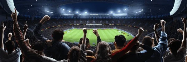 星空体育法甲赛事球迷氛围